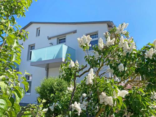 a white building behind a tree with white flowers at Haus Seestern in Thiessow