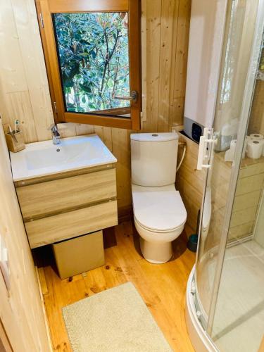 une salle de bain avec toilettes, lavabo et douche dans l'établissement Roulotte atypique à l'Océan, à Labenne