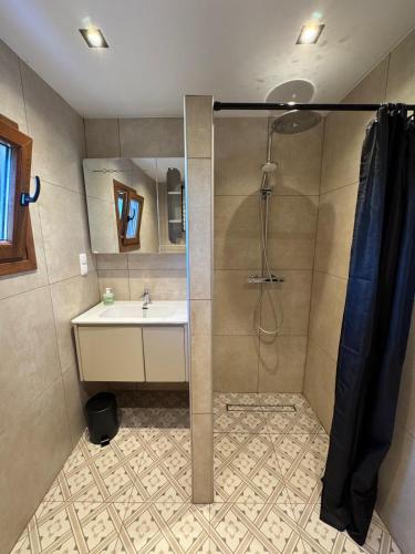 a bathroom with a shower and a sink at Villa Feronia Samos in Mesókampos