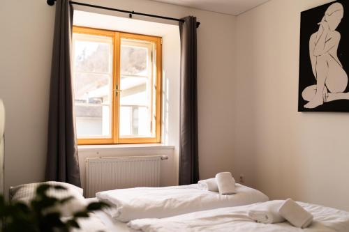 homy Bludenz Alpine Panorama