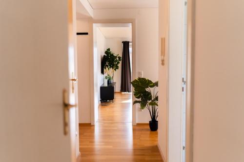 a hallway with two plants and a chair in a room at homy Bludenz Alpine Panorama in Bludenz
