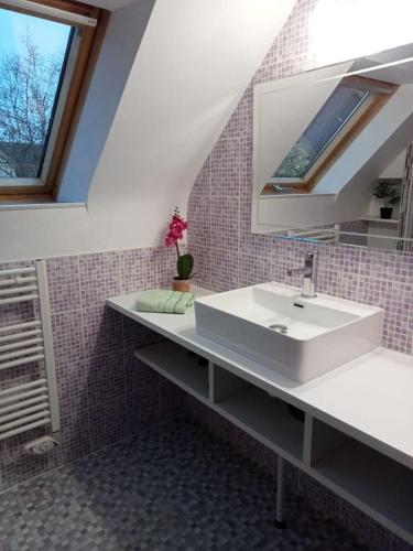 une salle de bain avec un lavabo et un miroir dans l'établissement Castel Bihan - Maison de caractère entre mer et campagne, à Cast