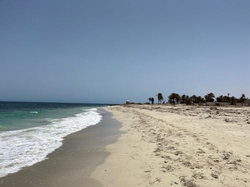 an empty beach with palm trees and the ocean at Villa Jasmin in Midoun