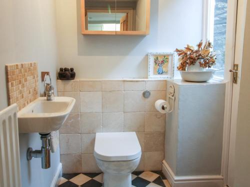 a bathroom with a toilet and a sink at 10 Upper Linney in Ludlow