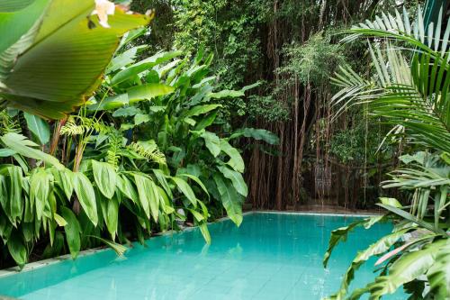 a swimming pool in the middle of a jungle at The Fern Cove Villa - Colombo in Battaramulla