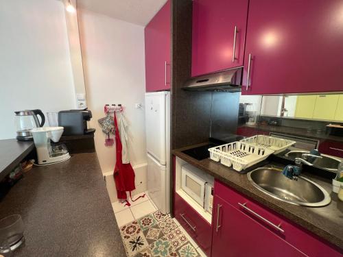 une cuisine avec des armoires violettes et un évier dans l'établissement Sol-y-Days Baronnets, rez-de-chaussée avec grand jardin proche centre et plages, au Grau-du-Roi