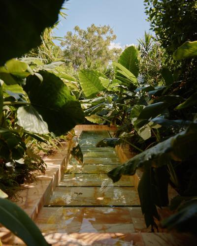 Un jardín fuera de Palm Heights