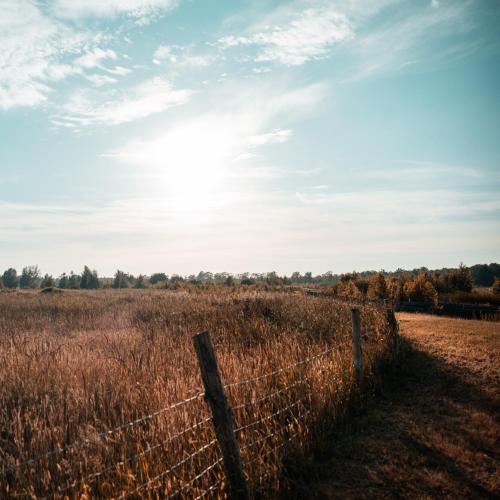 a fence in the middle of a field at Tiny house XXL in Bant
