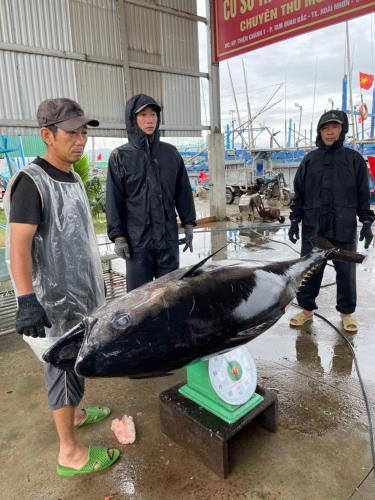 a man holding a fish on a scale with a shark at Tien Vuong hotel in Thiện Chánh (1)