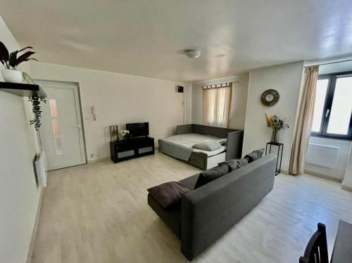 un salon avec un canapé et un lit dans l'établissement Le Bien Placé tout confort, à Orange