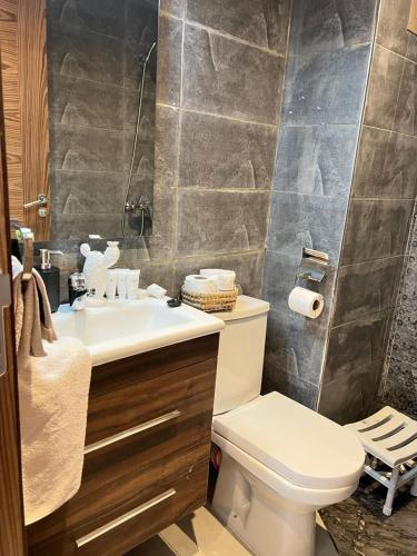 a bathroom with a toilet and a sink at Kénitra centre ville Mimosa in Kenitra