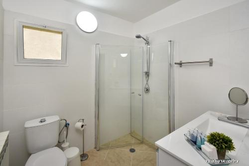 a bathroom with a shower and a toilet and a sink at Malki House- a whole complex just for you in Lappidot