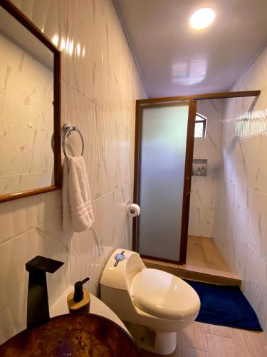 a bathroom with a toilet and a mirror at The Lookout Hideaway in Baños