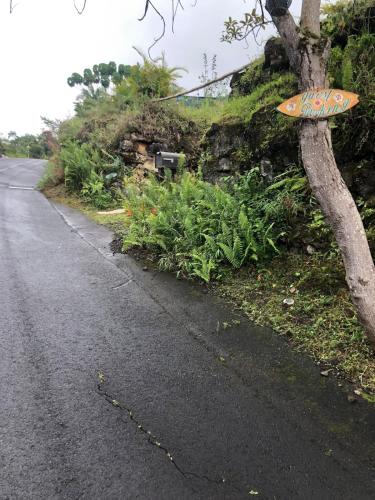 a street with a sign on the side of a tree at Kailua Kona Overlook Suites in Kailua-Kona
