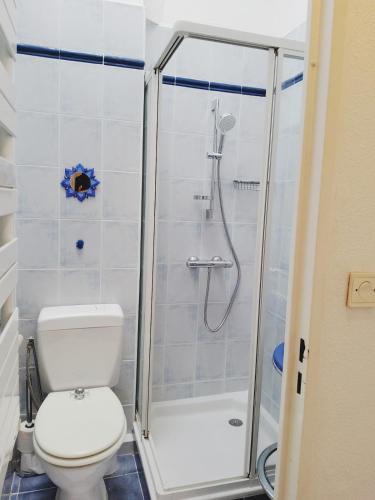 une salle de bain avec toilettes et douche dans l'établissement 47m carré - Vue mer 180 degrés - Piscine - Parking, à Saint-Raphaël