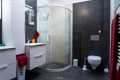 une salle de bain avec douche et toilettes dans l'établissement Gîte des dolmens 3 etoiles, à Saint-Quay-Portrieux