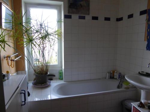 une salle de bain avec une baignoire et un lavabo dans l'établissement Très jolie maison d'artiste,jardin,proche mer, à La Rochelle