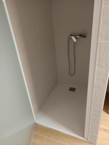a shower with a shower head in a bathroom at Casa Villazón I - Camino de Santiago in Muruzábal