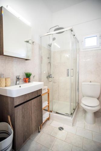 a bathroom with a shower and a toilet and a sink at Villa Margarita in Nótos