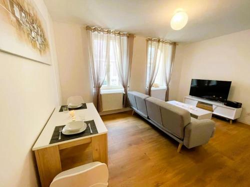 ein Wohnzimmer mit Sofa und Fernseher in der Unterkunft RM-0 - Joli 2 pièces tout équipé au RDC à Mulhouse pour 1-3 pers in Mulhouse