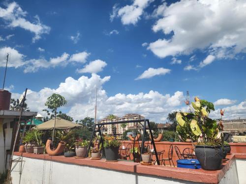 a row of potted plants on top of a roof at Khweza Bed and Breakfast in Nairobi