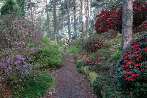 Taman di luar Villa Vy - a gem with private beach in Bergen