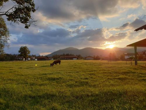Imagen de la galería de Ferienwohnungen Hanslbauer, en Krün