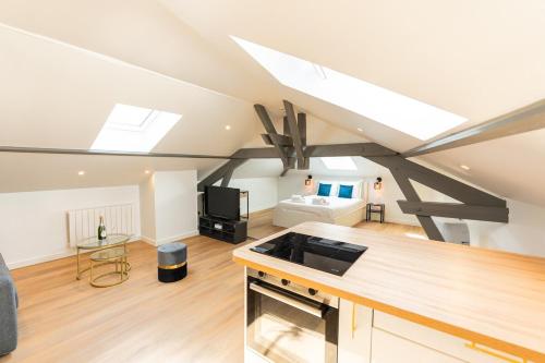 Il dispose d'une cuisine et d'un salon avec un lit et des lucarnes. dans l'établissement Nid douillet sous les combles, à Châlons-en-Champagne