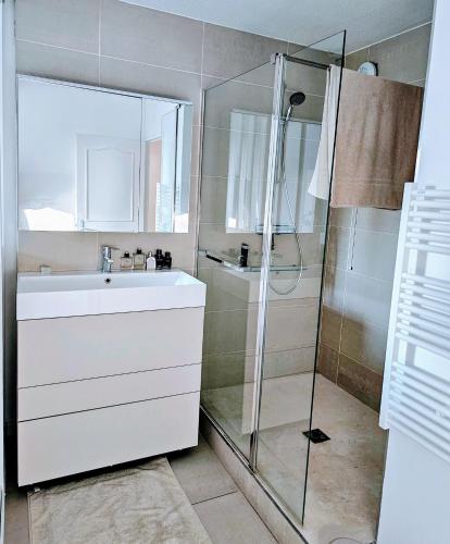 une salle de bain avec un lavabo blanc et une douche dans l'établissement Terrasse de Malissol, à Vienne