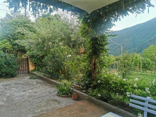 a garden with a bench and some plants at Viola holiday home in Rialto