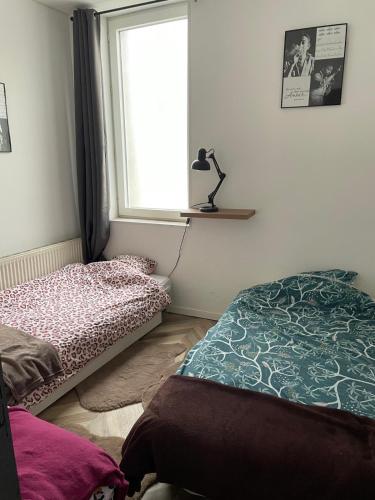 Foto dalla galleria di Appartement au rez de chaussez a Bourbourg