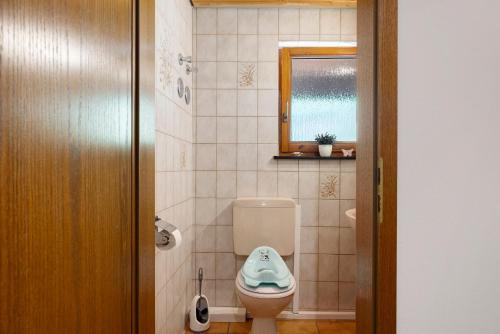 a bathroom with a toilet and a mirror at Hugenhof in Kirchzarten