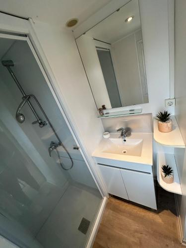 une salle de bain avec un lavabo et un miroir dans l'établissement Tiny house Port la Nouvelle, à Port-la-Nouvelle