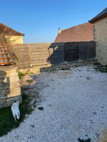 a cat laying on the gravel in front of a house at le chant des Verdiers in Saint-Aubin-de-Nabirat