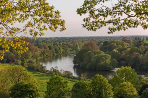 a river in the middle of a field with trees at Richmond Hill Hotel in Richmond upon Thames