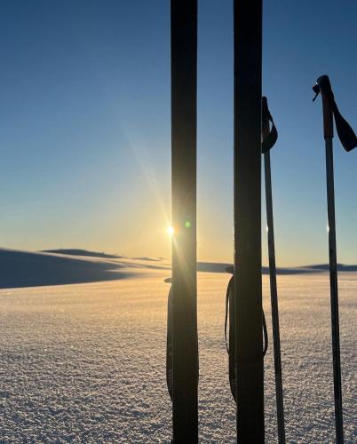 a group of skis and poles in the snow at Cosy, modern apartment near the city center in Senja
