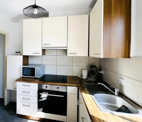 une cuisine avec un évier et un micro-ondes dans l'établissement RM-2 - Appartement F2 au 2ème étage pour 1-3 pers, à Mulhouse