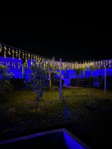 Zahrada ubytování Kendwa Crystal Coast Hotel