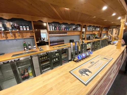 a bar with a bear on the counter at Island Escape Sandown in Sandown