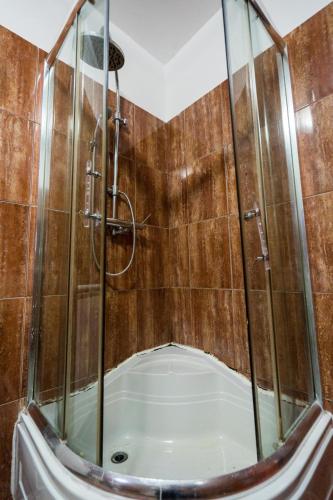 a shower in a bathroom with a tub at Casa Verde Cetățuia in Luncaviţa