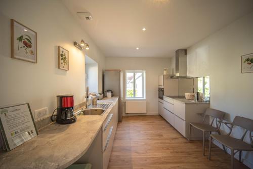 - une cuisine avec un comptoir et un évier dans l'établissement Gîte et studio Les Grands Crus, à Morey-Saint-Denis