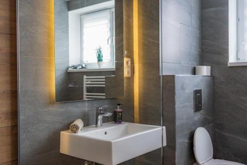 a bathroom with a sink and a mirror and a toilet at Miracle Seasons in Liptovský Mikuláš