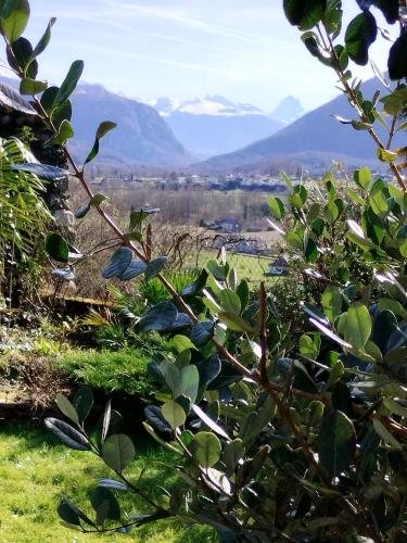 un bush avec des montagnes en arrière-plan dans l'établissement Chez Mamo, à Bescat