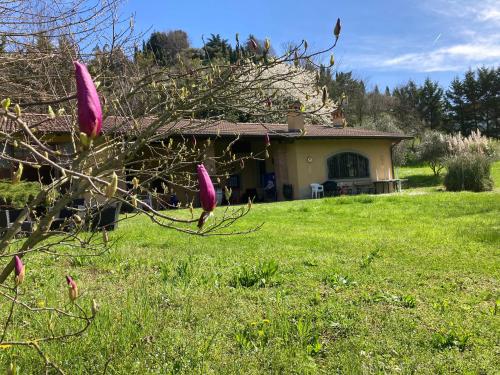 a house in a field with purple flowers in front of it at Villa Vinea Prisca B&B in Cenate Sotto