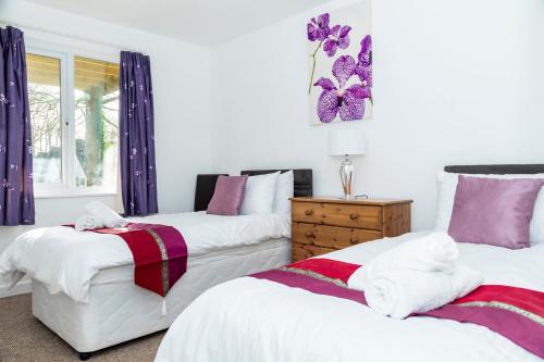 two beds in a room with purple curtains at Valley Lodge 40 in Callington