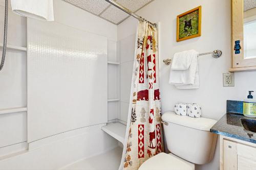 a bathroom with a toilet and a shower at Squaw Village Condo in Greenville