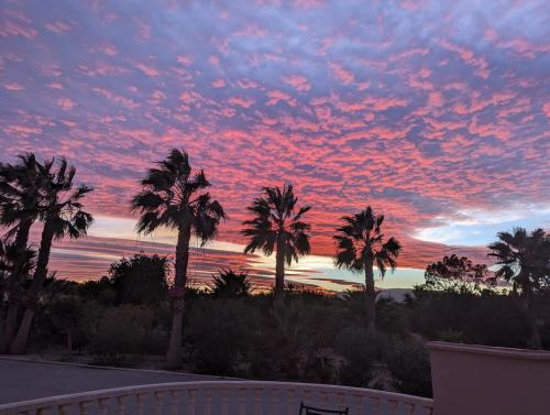 a sunset with palm trees in front of a fence at Villa Oasis in Vera