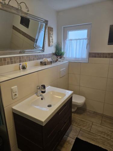 a bathroom with a sink and a toilet and a mirror at Hakans Moselblick Ferienwohnung in Treis-Karden