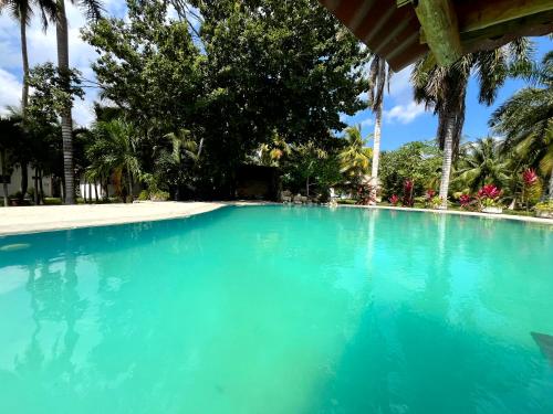 a large pool of blue water with palm trees at Xanthus Hotel in Huay Pix