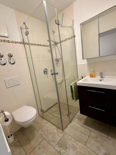a bathroom with a shower and a toilet and a sink at Ferienwohnung Jahnel in Waging am See